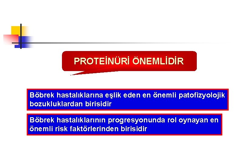 PROTEİNÜRİ ÖNEMLİDİR Böbrek hastalıklarına eşlik eden en önemli patofizyolojik bozukluklardan birisidir Böbrek hastalıklarının progresyonunda