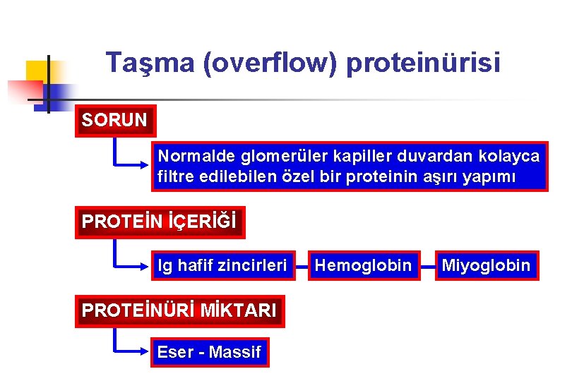 Taşma (overflow) proteinürisi SORUN Normalde glomerüler kapiller duvardan kolayca filtre edilebilen özel bir proteinin