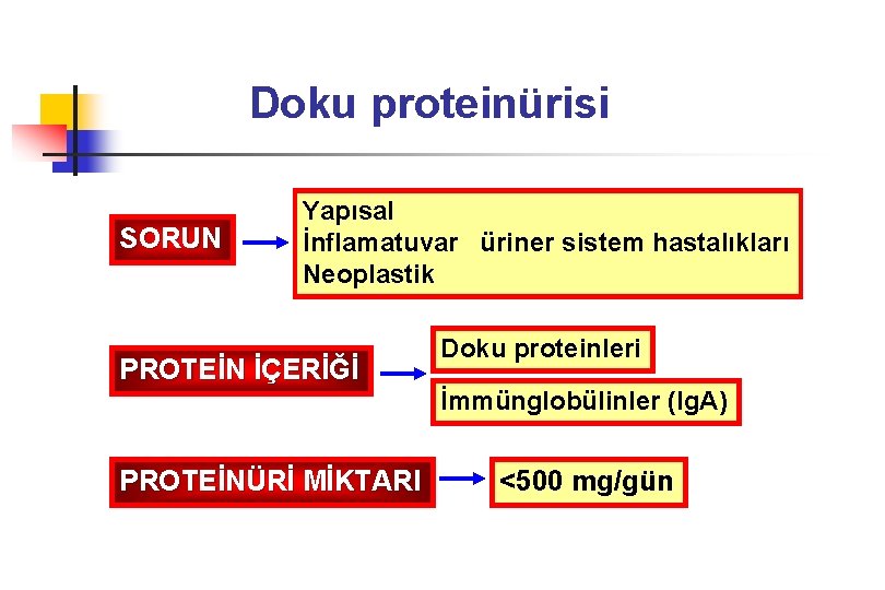 Doku proteinürisi SORUN Yapısal İnflamatuvar üriner sistem hastalıkları Neoplastik PROTEİN İÇERİĞİ PROTEİNÜRİ MİKTARI Doku