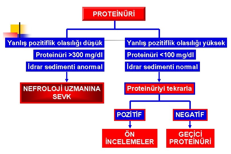 PROTEİNÜRİ Yanlış pozitiflik olasılığı düşük Proteinüri >300 mg/dl İdrar sedimenti anormal NEFROLOJİ UZMANINA SEVK