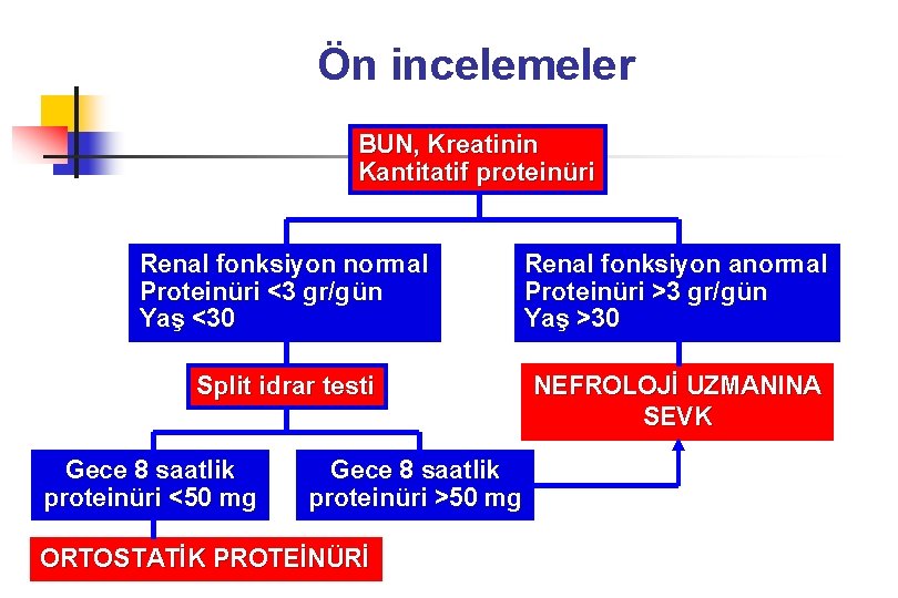 Ön incelemeler BUN, Kreatinin Kantitatif proteinüri Renal fonksiyon normal Proteinüri <3 gr/gün Yaş <30