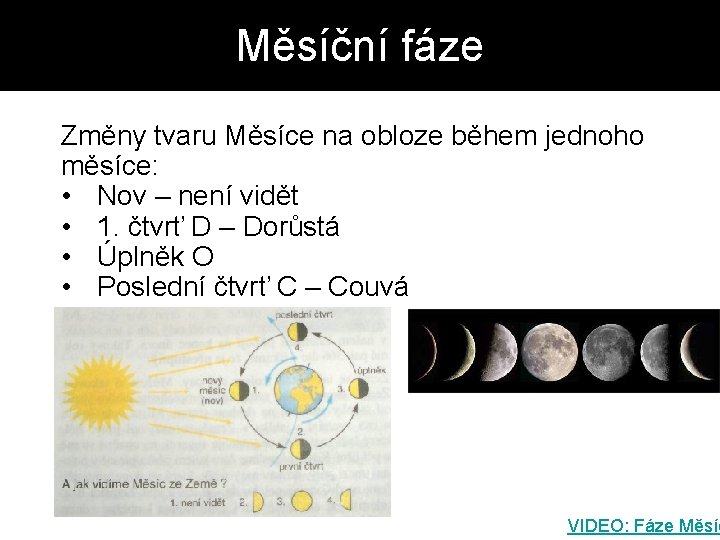 Měsíční fáze Změny tvaru Měsíce na obloze během jednoho měsíce: • Nov – není