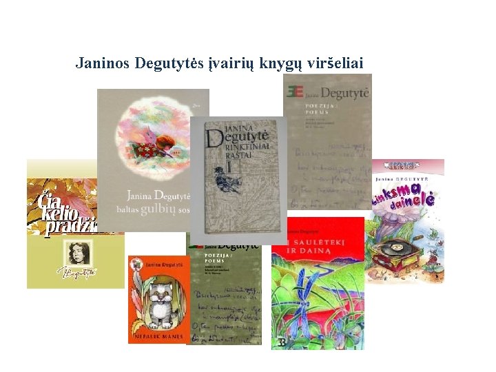 Janinos Degutytės įvairių knygų viršeliai 