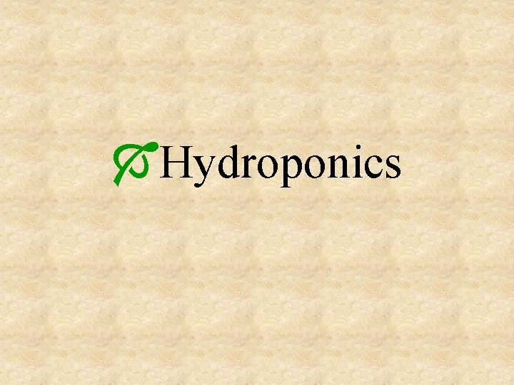ÓHydroponics 