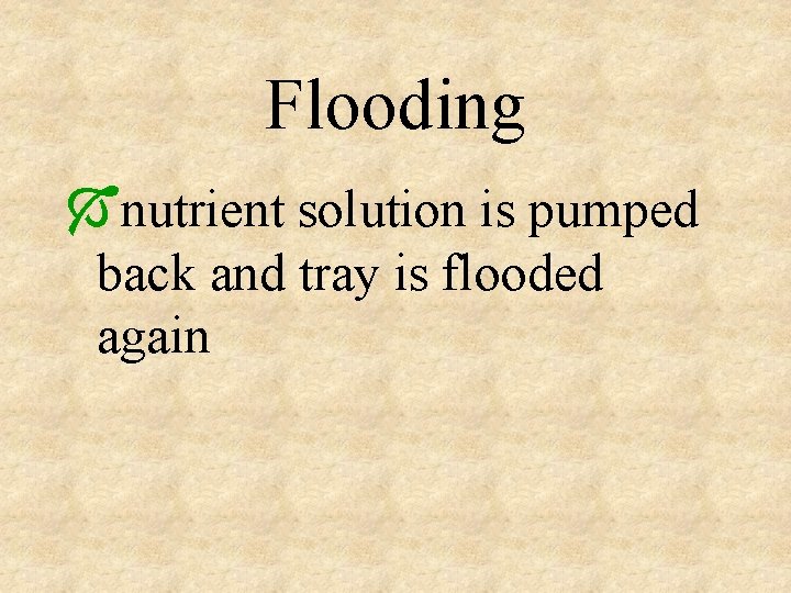 Flooding Ónutrient solution is pumped back and tray is flooded again 