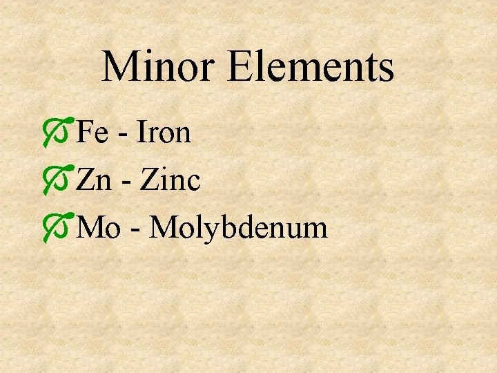 Minor Elements ÓFe - Iron ÓZn - Zinc ÓMo - Molybdenum 
