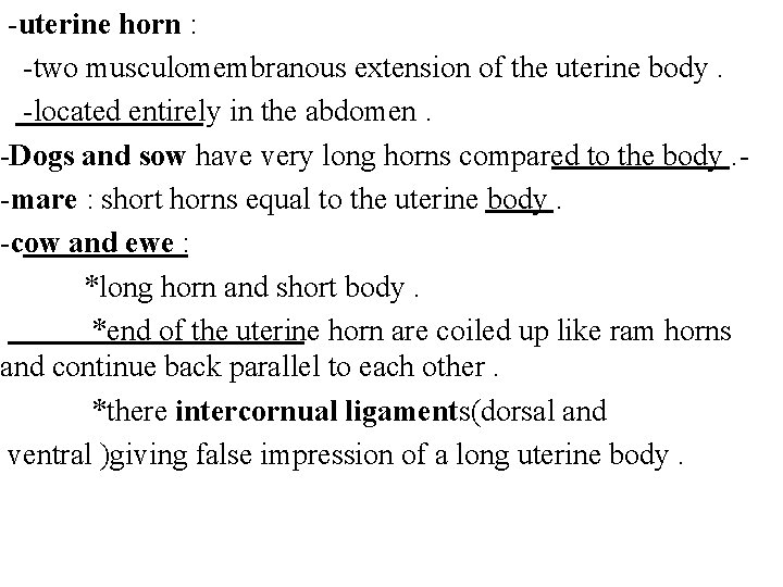 -uterine horn : -two musculomembranous extension of the uterine body. -located entirely in the