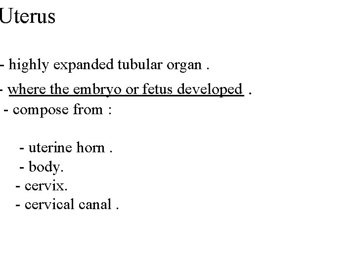 Uterus - highly expanded tubular organ. - where the embryo or fetus developed -