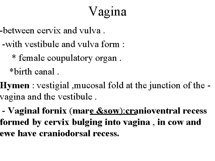 Vagina -between cervix and vulva. -with vestibule and vulva form : * female coupulatory
