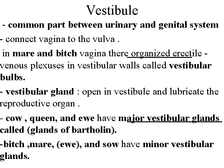 Vestibule - common part between urinary and genital system - connect vagina to the