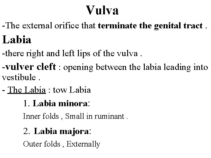 Vulva -The external orifice that terminate the genital tract. Labia -there right and left