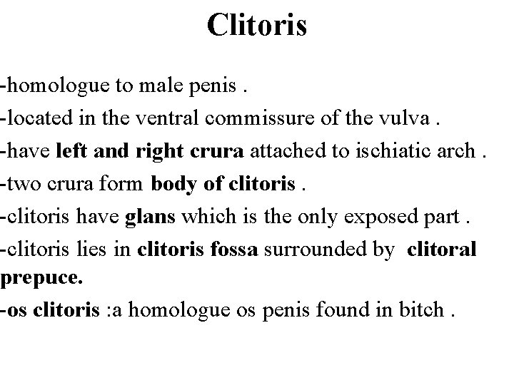 Clitoris -homologue to male penis. -located in the ventral commissure of the vulva. -have