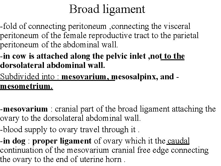 Broad ligament -fold of connecting peritoneum , connecting the visceral peritoneum of the female