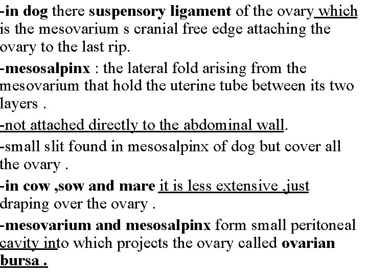 -in dog there suspensory ligament of the ovary which is the mesovarium s cranial