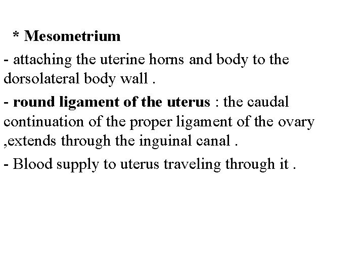 * Mesometrium - attaching the uterine horns and body to the dorsolateral body wall.