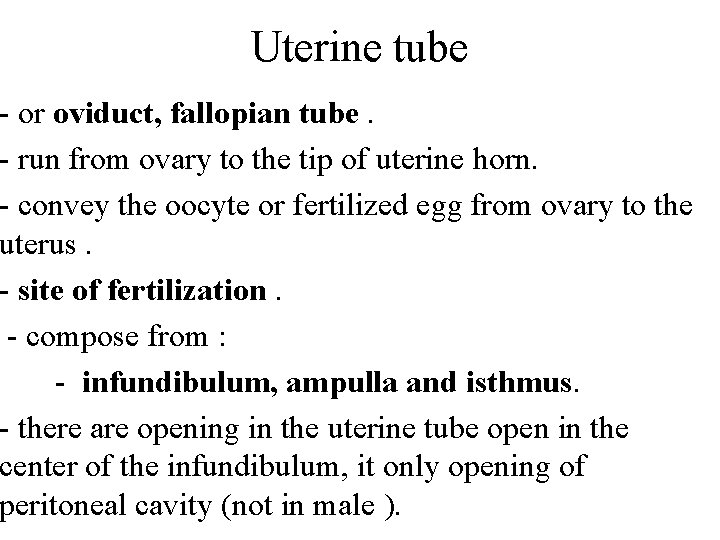 Uterine tube - or oviduct, fallopian tube. - run from ovary to the tip