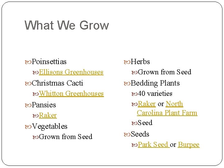 What We Grow Poinsettias Ellisons Greenhouses Christmas Cacti Whitton Greenhouses Pansies Raker Vegetables Grown