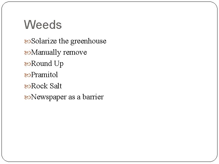 Weeds Solarize the greenhouse Manually remove Round Up Pramitol Rock Salt Newspaper as a