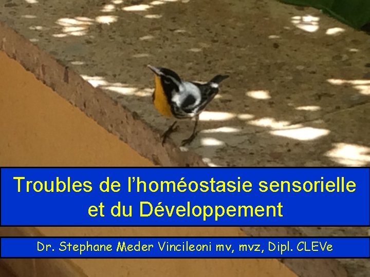 Troubles de l’homéostasie sensorielle et du Développement Dr. Stephane Meder Vincileoni mv, mvz, Dipl.