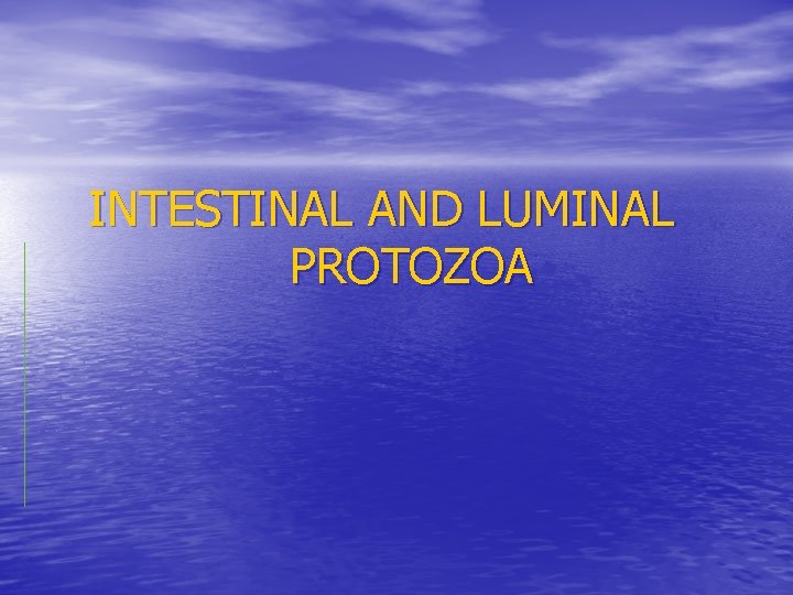INTESTINAL AND LUMINAL PROTOZOA INTESTINAL AND LUMINAL PROTOZOA