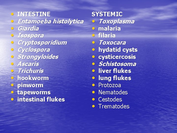 • • • • INTESTINE Entamoeba histolytica Giardia Isospora Cryptosporidium Cyclospora Strongyloides Ascaris • • • • INTESTINE Entamoeba histolytica Giardia Isospora Cryptosporidium Cyclospora Strongyloides Ascaris