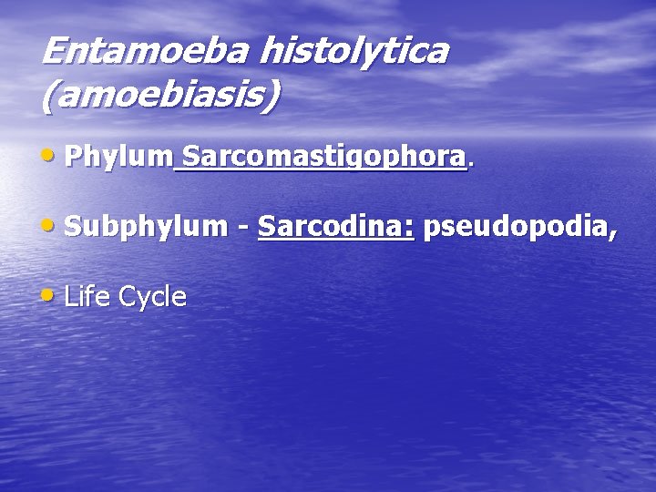 Entamoeba histolytica (amoebiasis) • Phylum Sarcomastigophora. • Subphylum - Sarcodina: pseudopodia, • Life Cycle Entamoeba histolytica (amoebiasis) • Phylum Sarcomastigophora. • Subphylum - Sarcodina: pseudopodia, • Life Cycle