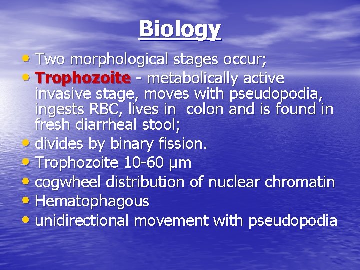 Biology • Two morphological stages occur; • Trophozoite - metabolically active invasive stage, moves Biology • Two morphological stages occur; • Trophozoite - metabolically active invasive stage, moves