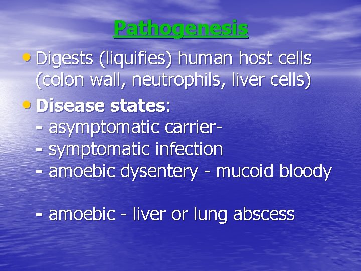 Pathogenesis • Digests (liquifies) human host cells (colon wall, neutrophils, liver cells) • Disease Pathogenesis • Digests (liquifies) human host cells (colon wall, neutrophils, liver cells) • Disease