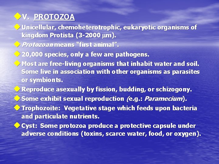 u. V. PROTOZOA u Unicellular, chemoheterotrophic, eukaryotic organisms of kingdom Protista (3 -2000 mm). u. V. PROTOZOA u Unicellular, chemoheterotrophic, eukaryotic organisms of kingdom Protista (3 -2000 mm).