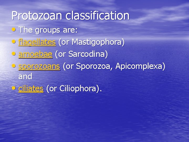 Protozoan classification • The groups are: • flagellates (or Mastigophora) • amoebae (or Sarcodina) Protozoan classification • The groups are: • flagellates (or Mastigophora) • amoebae (or Sarcodina)
