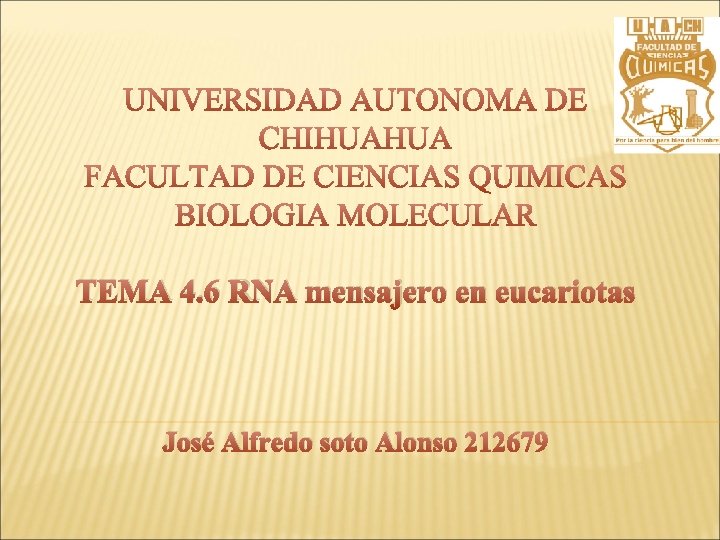TEMA 4. 6 RNA mensajero en eucariotas José Alfredo soto Alonso 212679 
