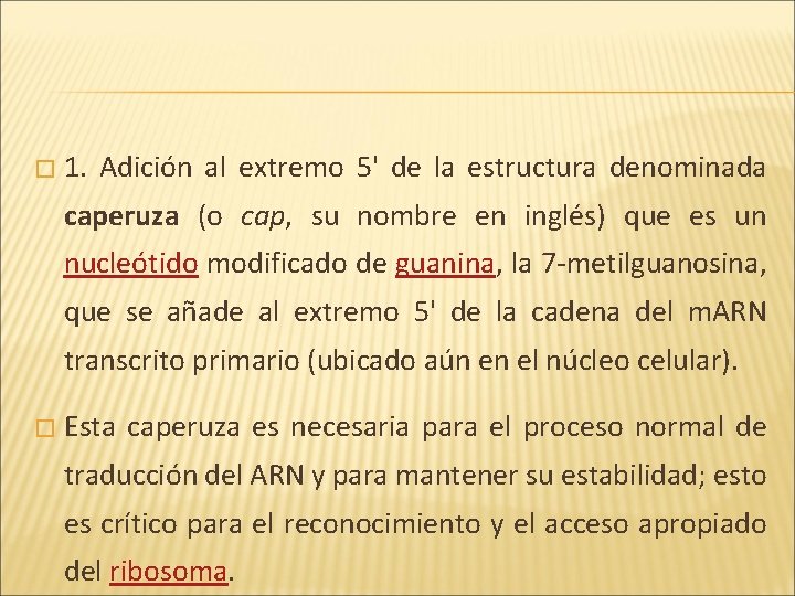 � 1. Adición al extremo 5' de la estructura denominada caperuza (o cap, su