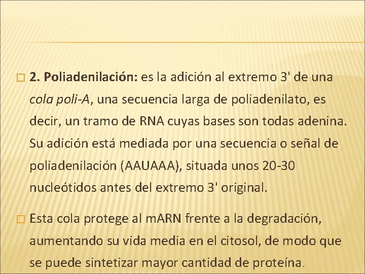 � 2. Poliadenilación: es la adición al extremo 3' de una cola poli-A, una � 2. Poliadenilación: es la adición al extremo 3' de una cola poli-A, una