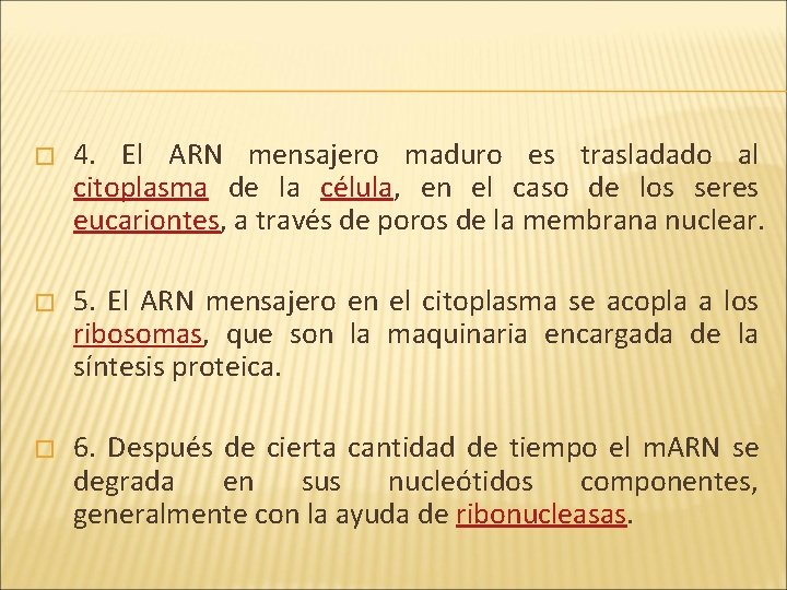 � 4. El ARN mensajero maduro es trasladado al citoplasma de la célula, en � 4. El ARN mensajero maduro es trasladado al citoplasma de la célula, en