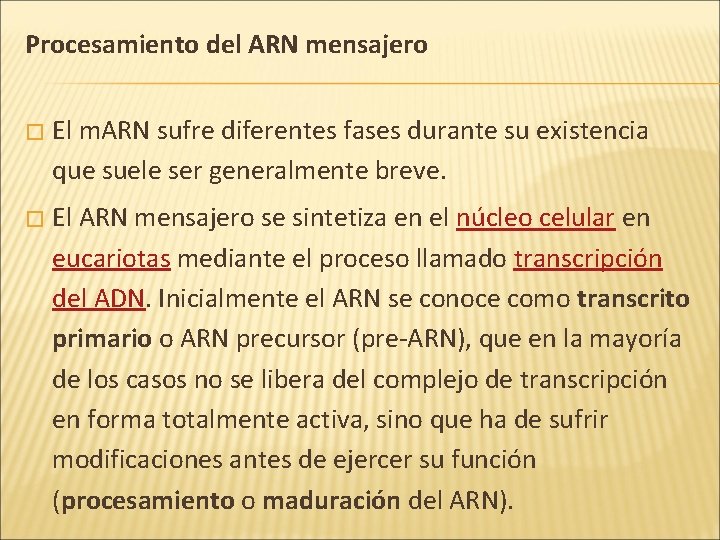 Procesamiento del ARN mensajero � El m. ARN sufre diferentes fases durante su existencia Procesamiento del ARN mensajero � El m. ARN sufre diferentes fases durante su existencia
