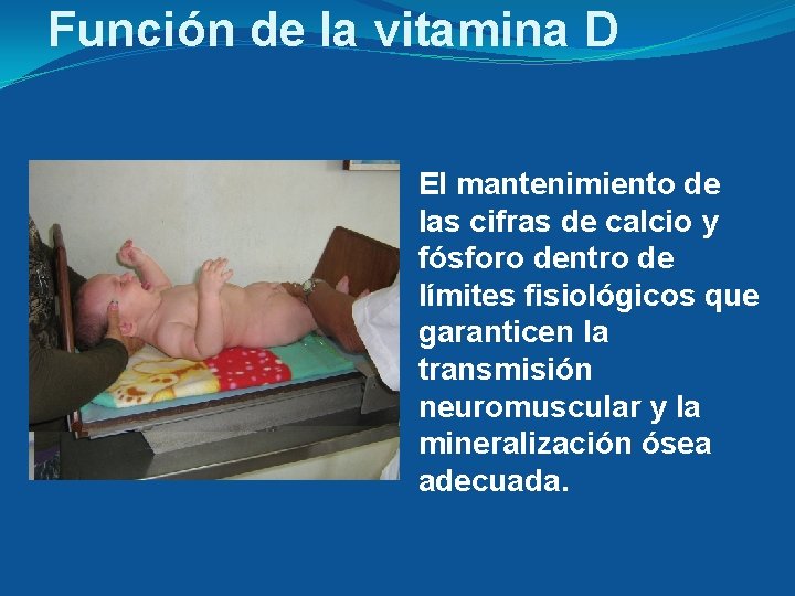 Función de la vitamina D El mantenimiento de las cifras de calcio y fósforo