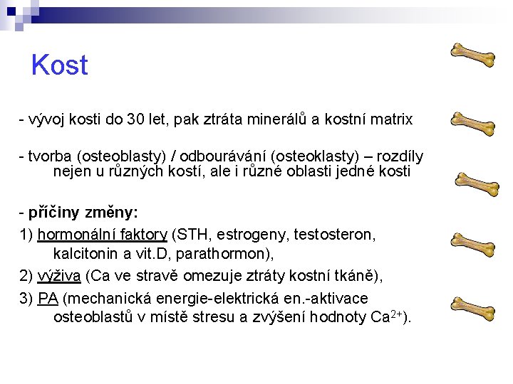 Kost - vývoj kosti do 30 let, pak ztráta minerálů a kostní matrix -