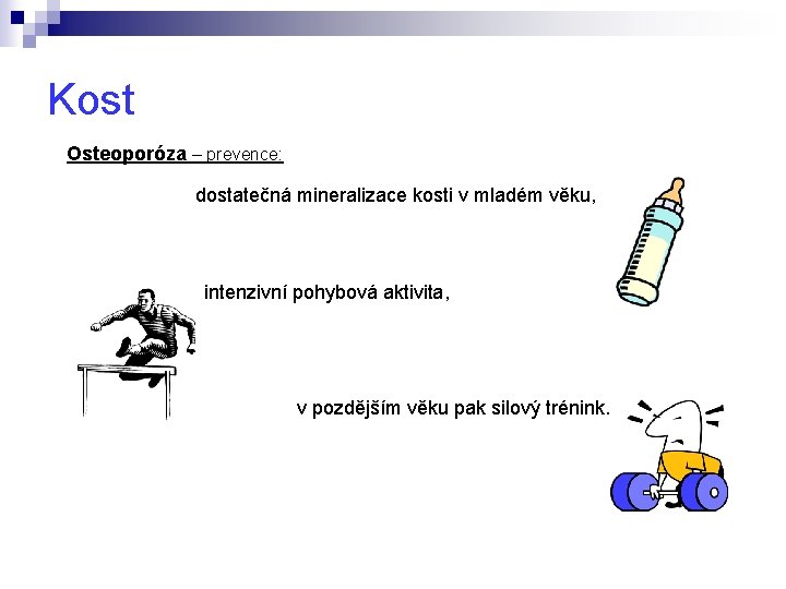Kost Osteoporóza – prevence: dostatečná mineralizace kosti v mladém věku, intenzivní pohybová aktivita, v