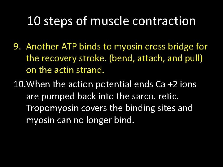 10 steps of muscle contraction 9. Another ATP binds to myosin cross bridge for 10 steps of muscle contraction 9. Another ATP binds to myosin cross bridge for