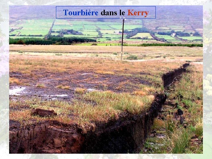 Tourbière dans le Kerry 