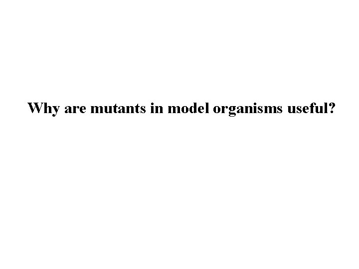 Why are mutants in model organisms useful? 