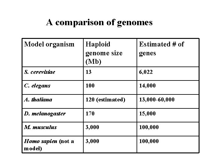 A comparison of genomes Model organism Haploid genome size (Mb) Estimated # of genes