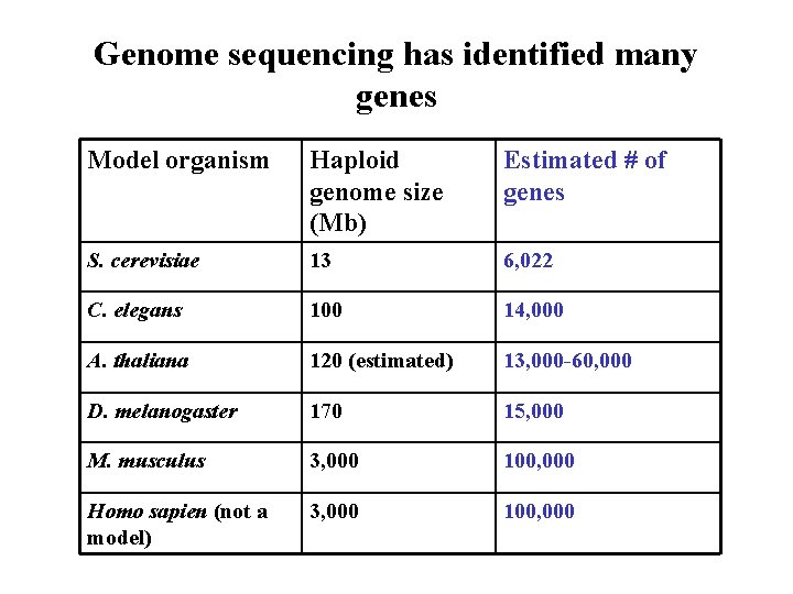 Genome sequencing has identified many genes Model organism Haploid genome size (Mb) Estimated #