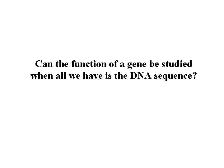 Can the function of a gene be studied when all we have is the