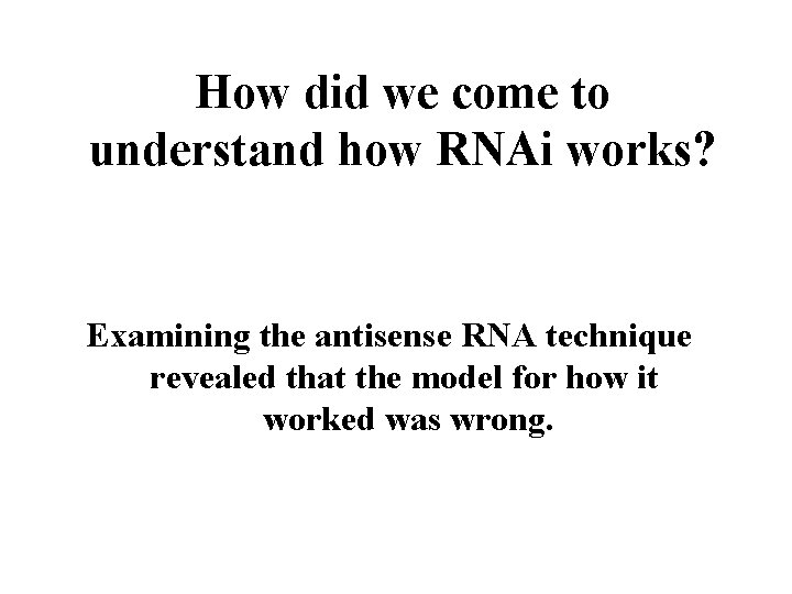 How did we come to understand how RNAi works? Examining the antisense RNA technique