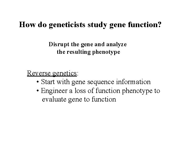How do geneticists study gene function? Disrupt the gene and analyze the resulting phenotype