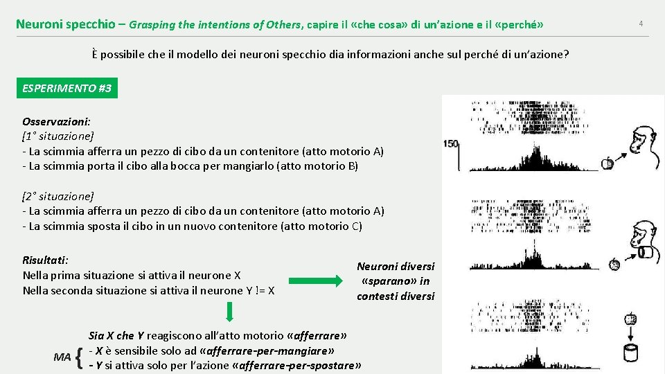 Neuroni specchio – Grasping the intentions of Others, capire il «che cosa» di un’azione