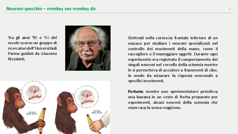 Neuroni specchio – monkey see monkey do Tra gli anni '80 e '90 del