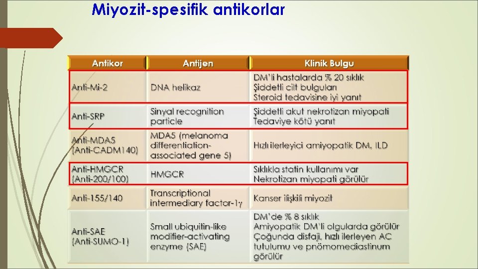 Miyozit-spesifik antikorlar Miyozit-spesifik antikorlar