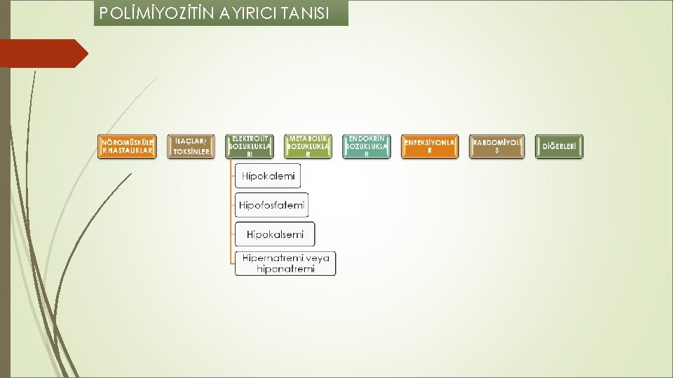 POLİMİYOZİTİN AYIRICI TANISI POLİMİYOZİTİN AYIRICI TANISI